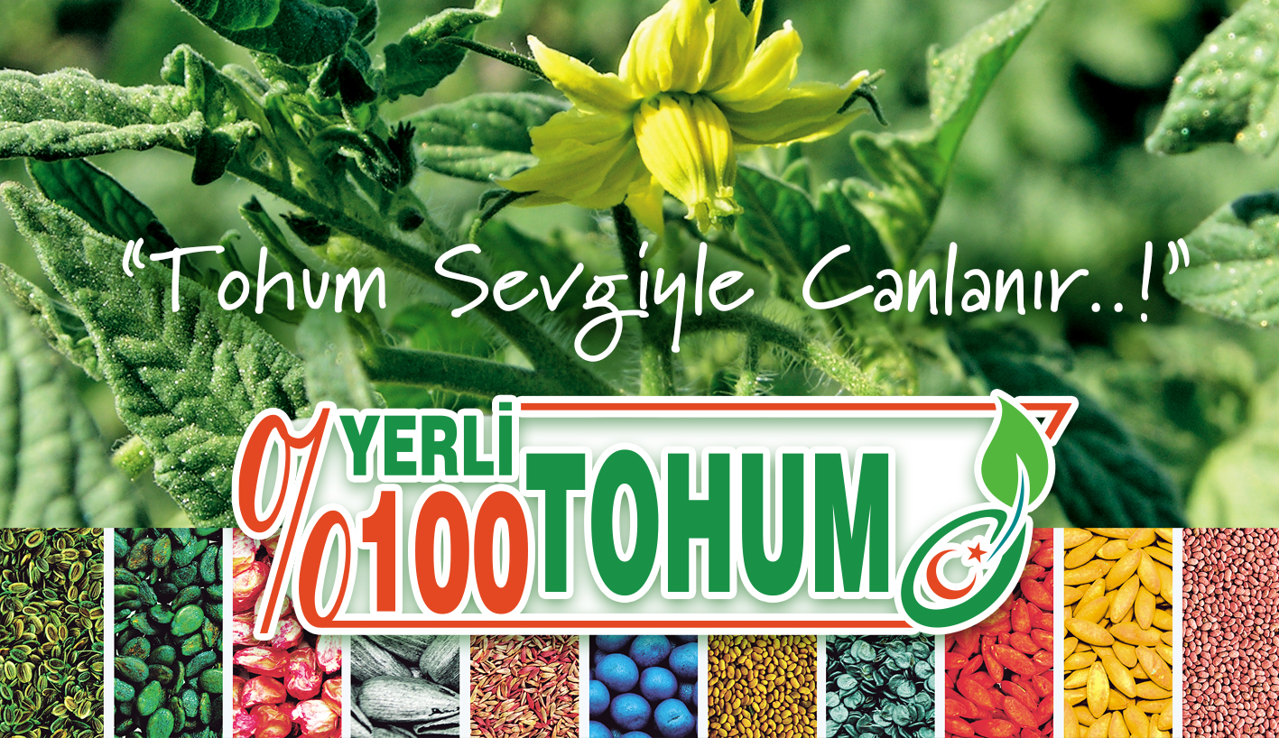 SunAgri Yerli Tohumları