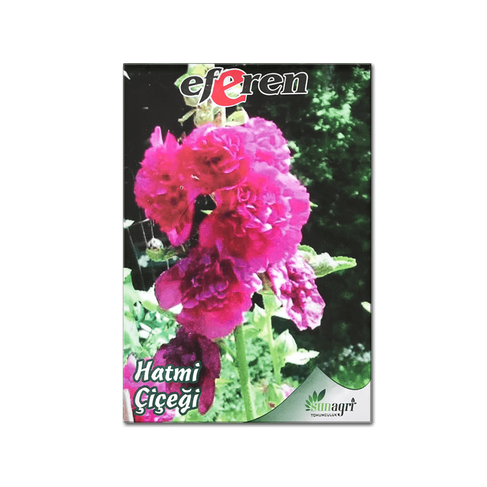 HATMİ ÇİÇEĞİ TOHUMU