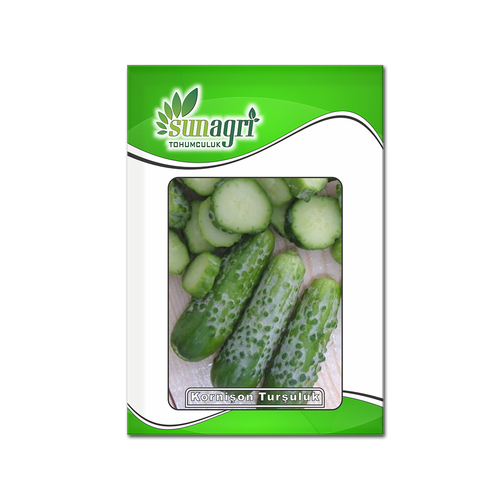 SALATALIK(KORNİŞON TURŞULUK)