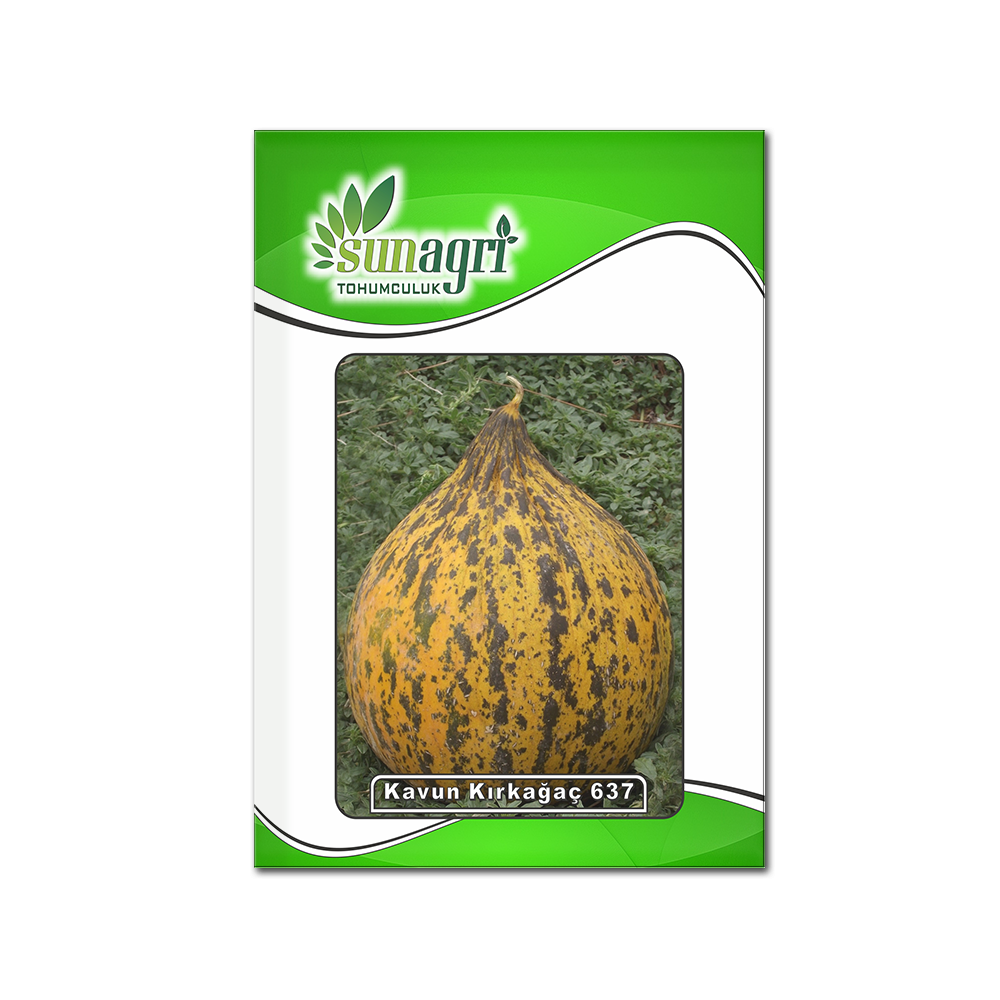 KAVUN KIRKAĞAÇ 637 ALTINBAŞ