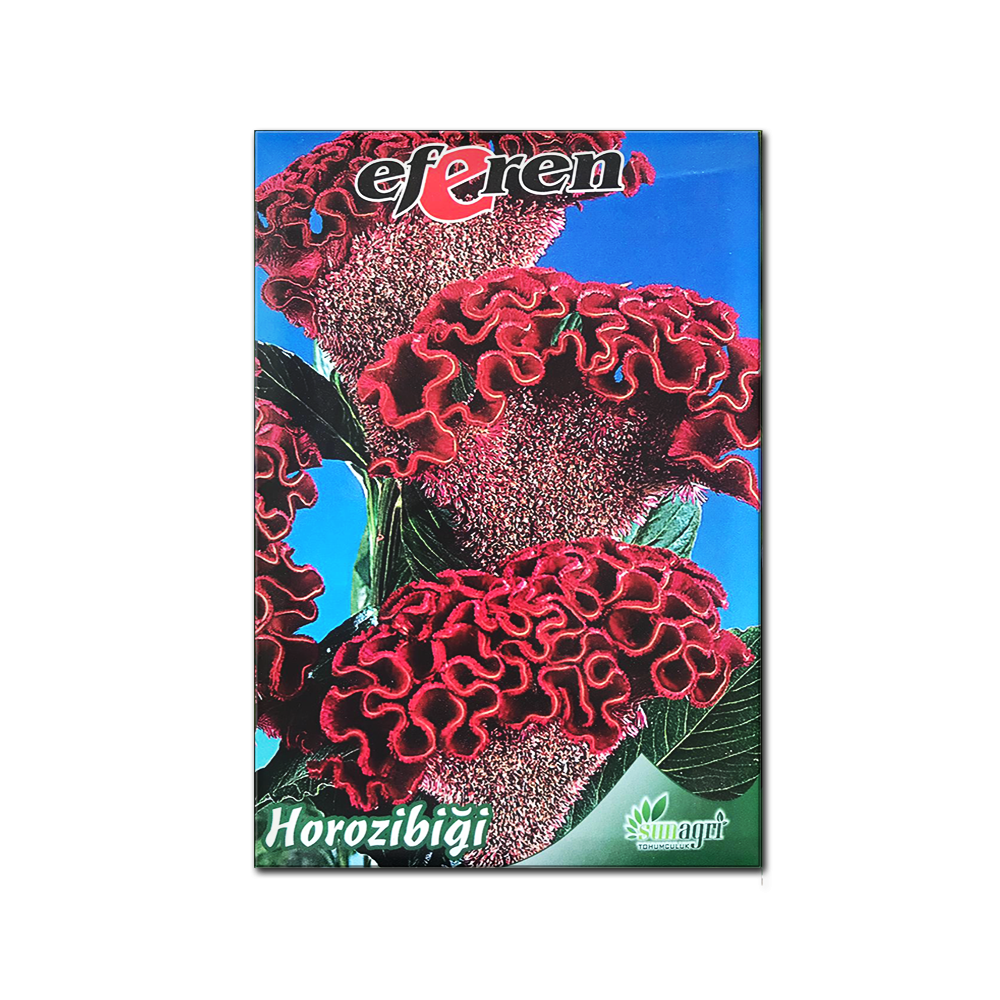 HOROZ İBİĞİ TOHUMU