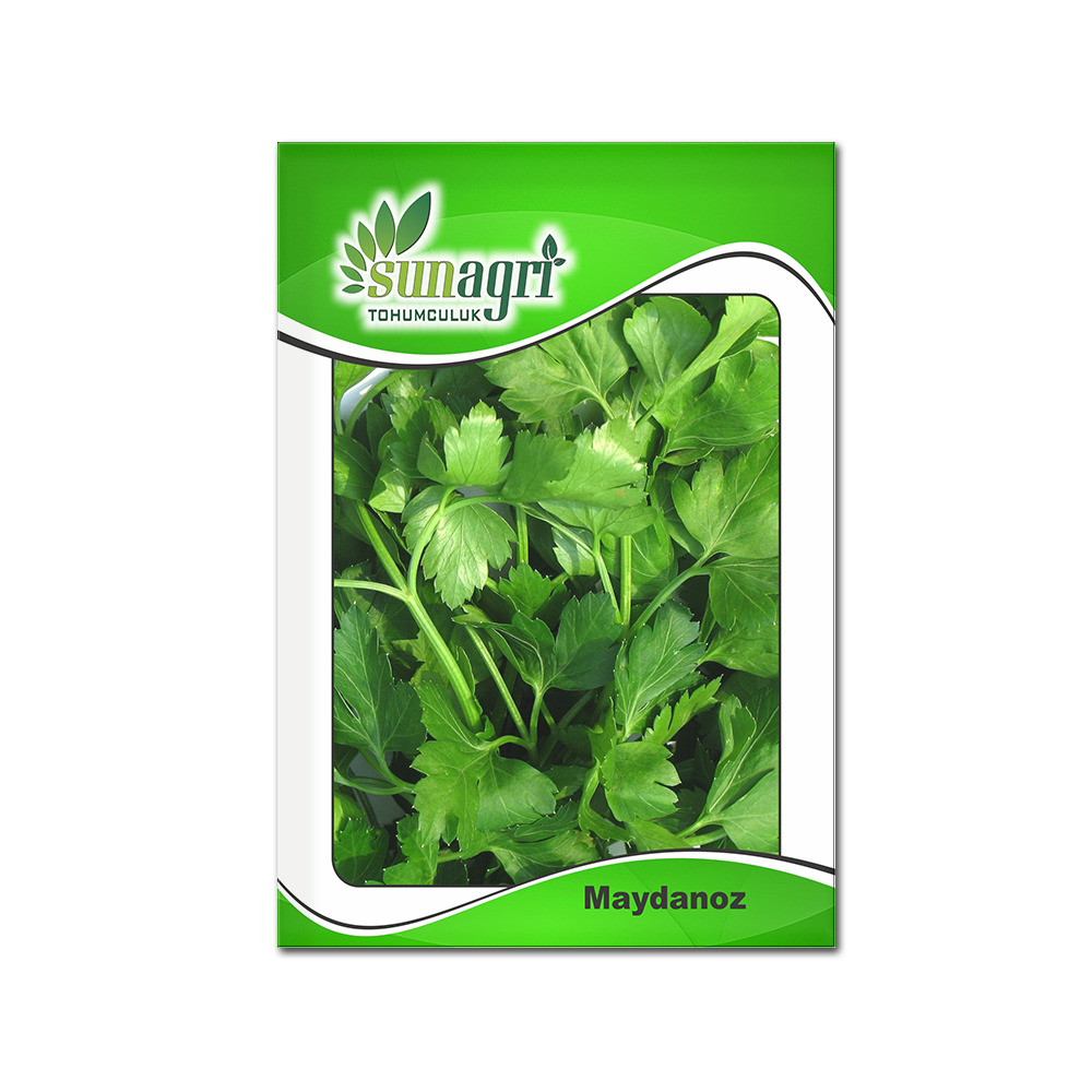 MAYDANOZ