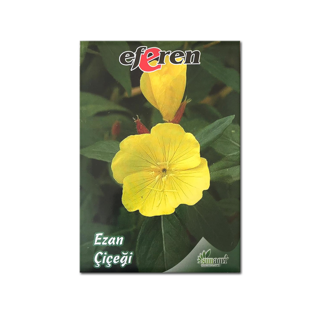EZAN ÇİÇEĞİ TOHUMU