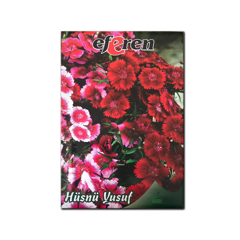 HÜSNÜ YUSUF TOHUMU