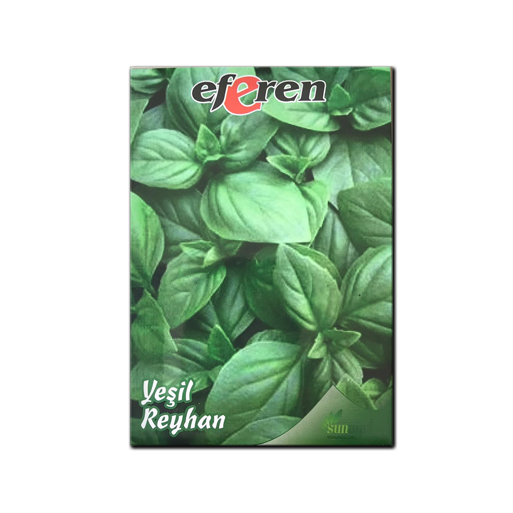 YEŞİL REYHAN TOHUMU
