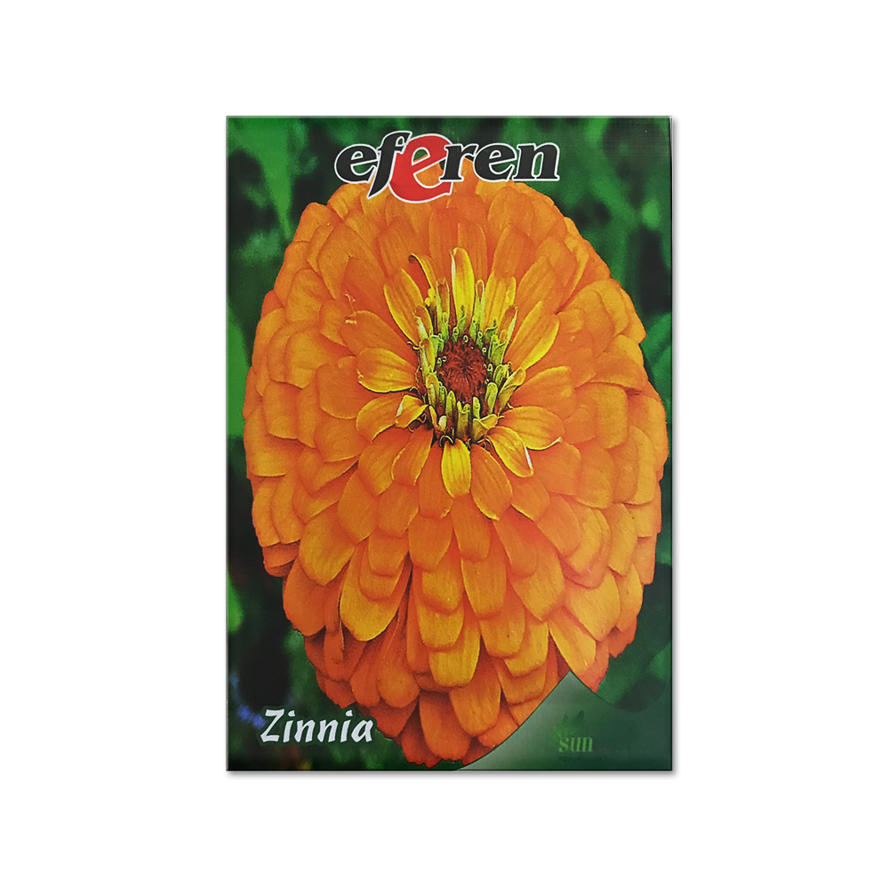 ZİNNİA TOHUMU