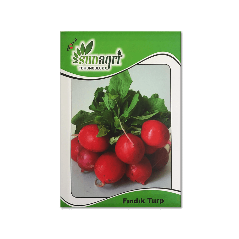 FINDIK TURP