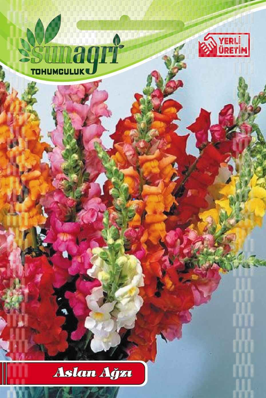 ASLAN AĞZI TOHUMU