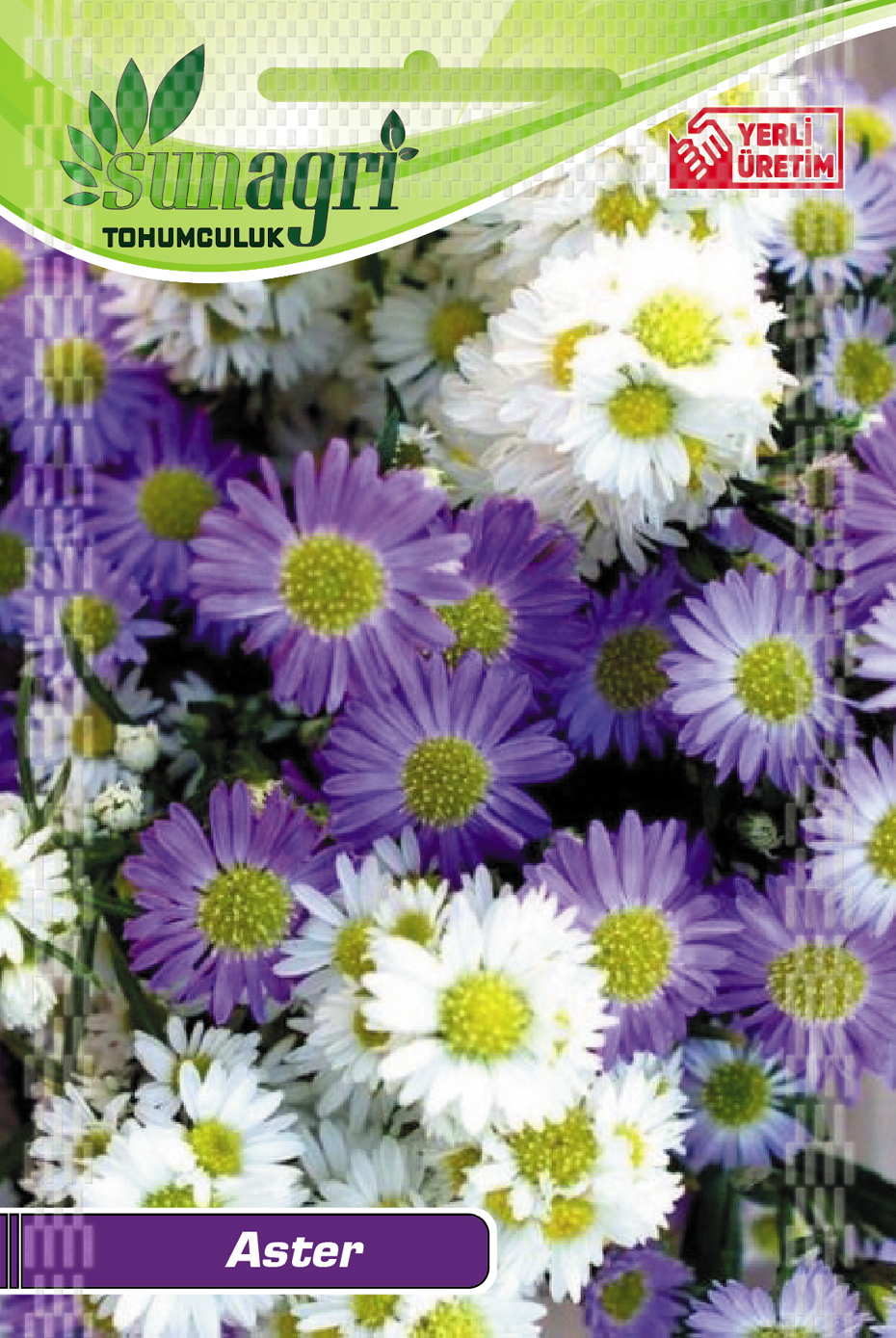 ASTER ÇİÇEĞİ TOHUMU