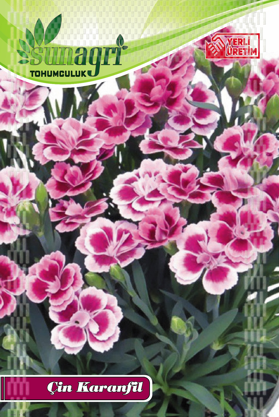 ÇİN KARANFİLİ