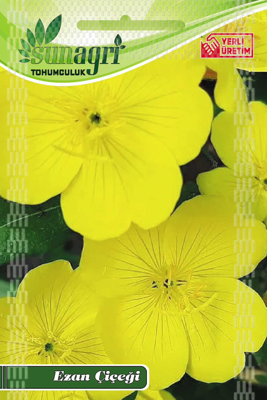 EZAN ÇİÇEĞİ TOHUMU
