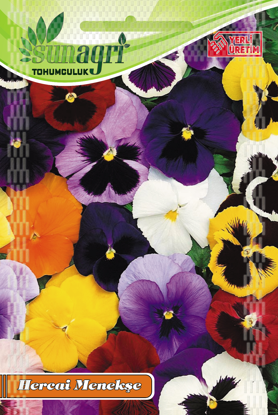 HERCAİ MENEKŞE TOHUMU