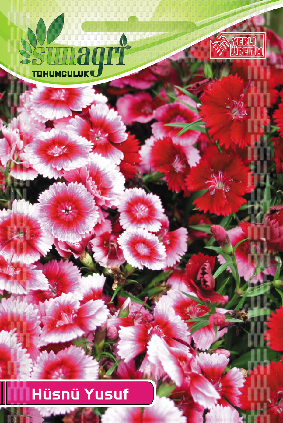 HÜSNÜ YUSUF TOHUMU