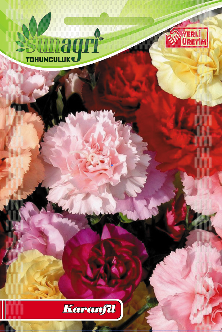 KARANFİL TOHUMU