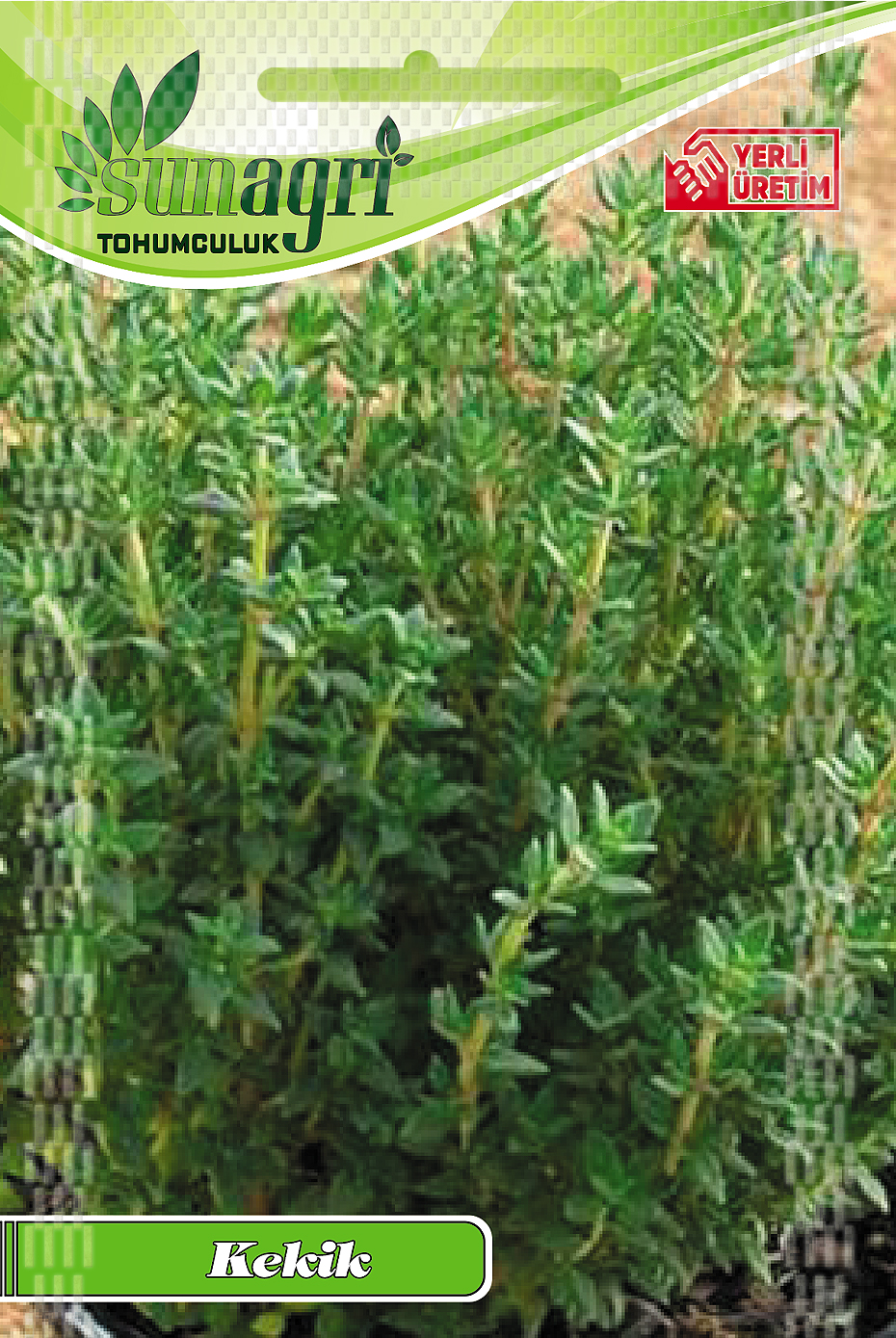 KEKİK TOHUMU