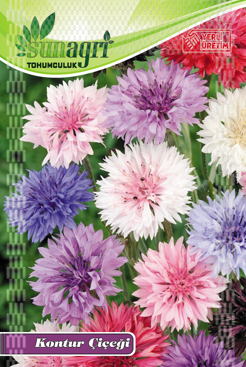KONTUR ÇİÇEK TOHUMU