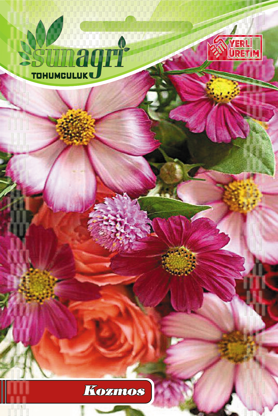 KOZMOS TOHUMU