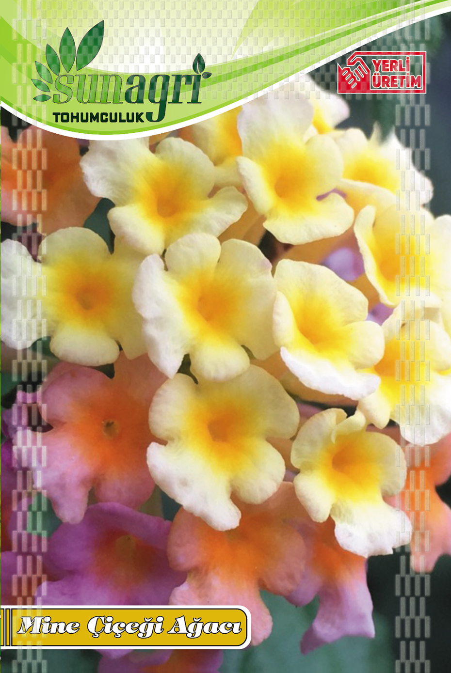 MİNE ÇİÇEĞİ TOHUMU