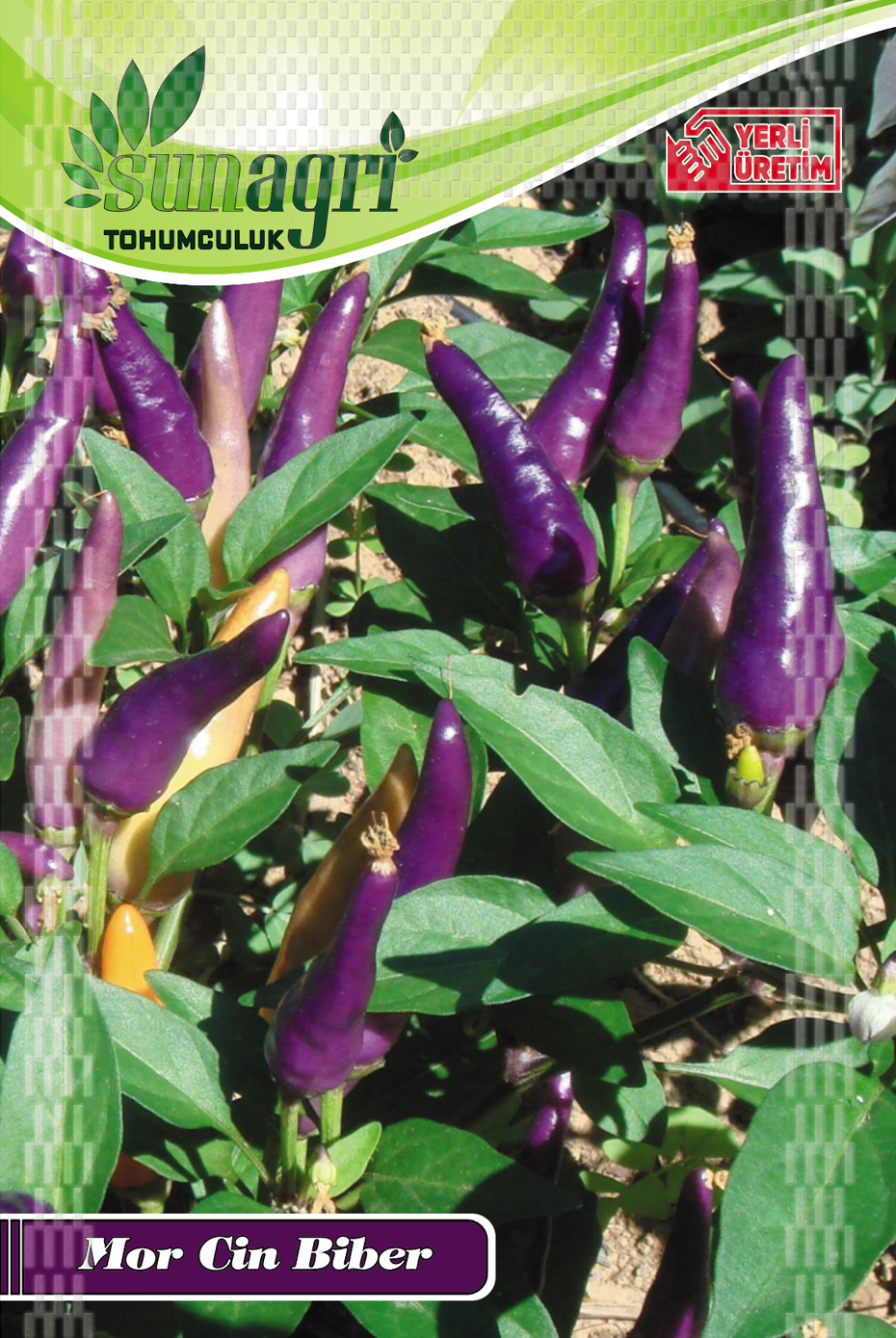 MOR CİN BİBER TOHUMU
