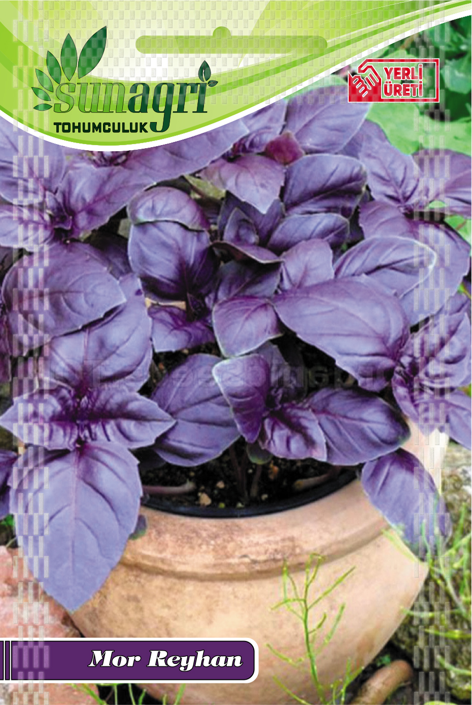 MOR REYHAN TOHUMU