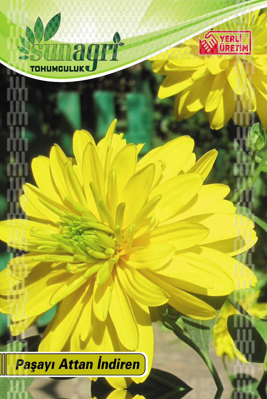 PAŞAYI ATTAN İNDİREN