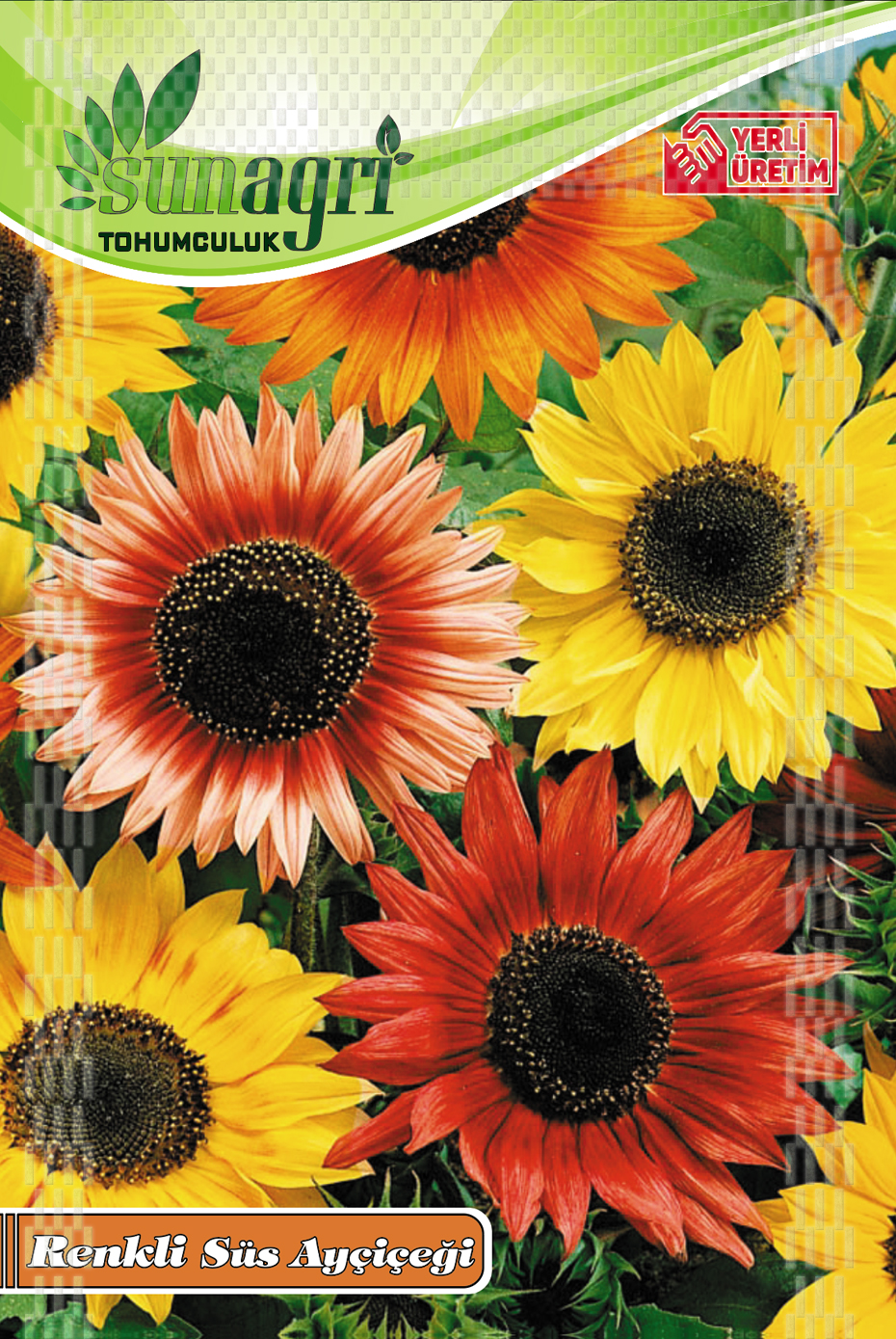 RENKLİ SÜS AYÇİÇEK TOHUMU
