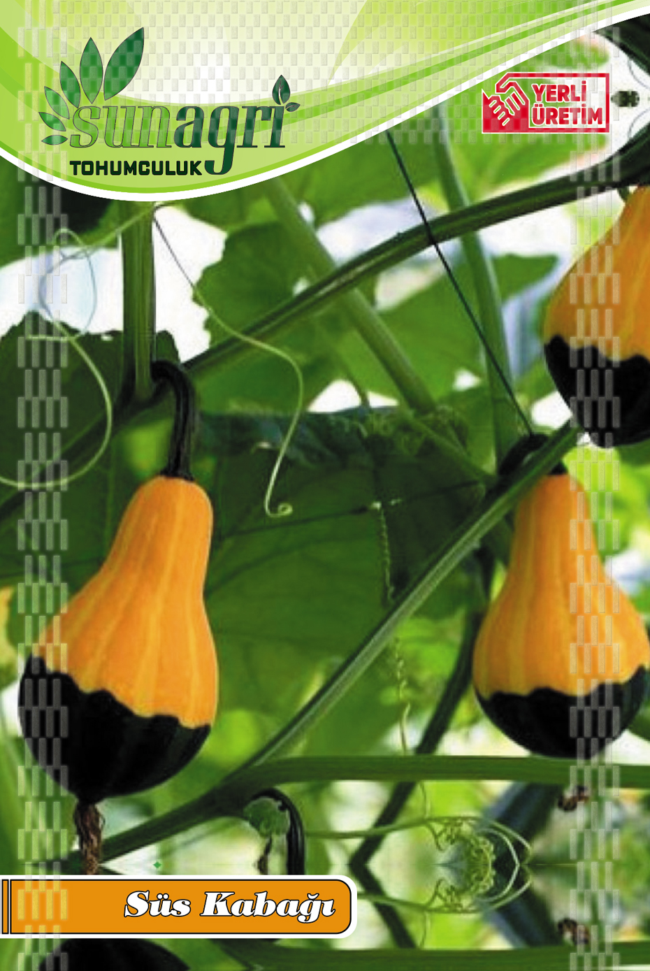 SÜS KABAĞI TOHUMU