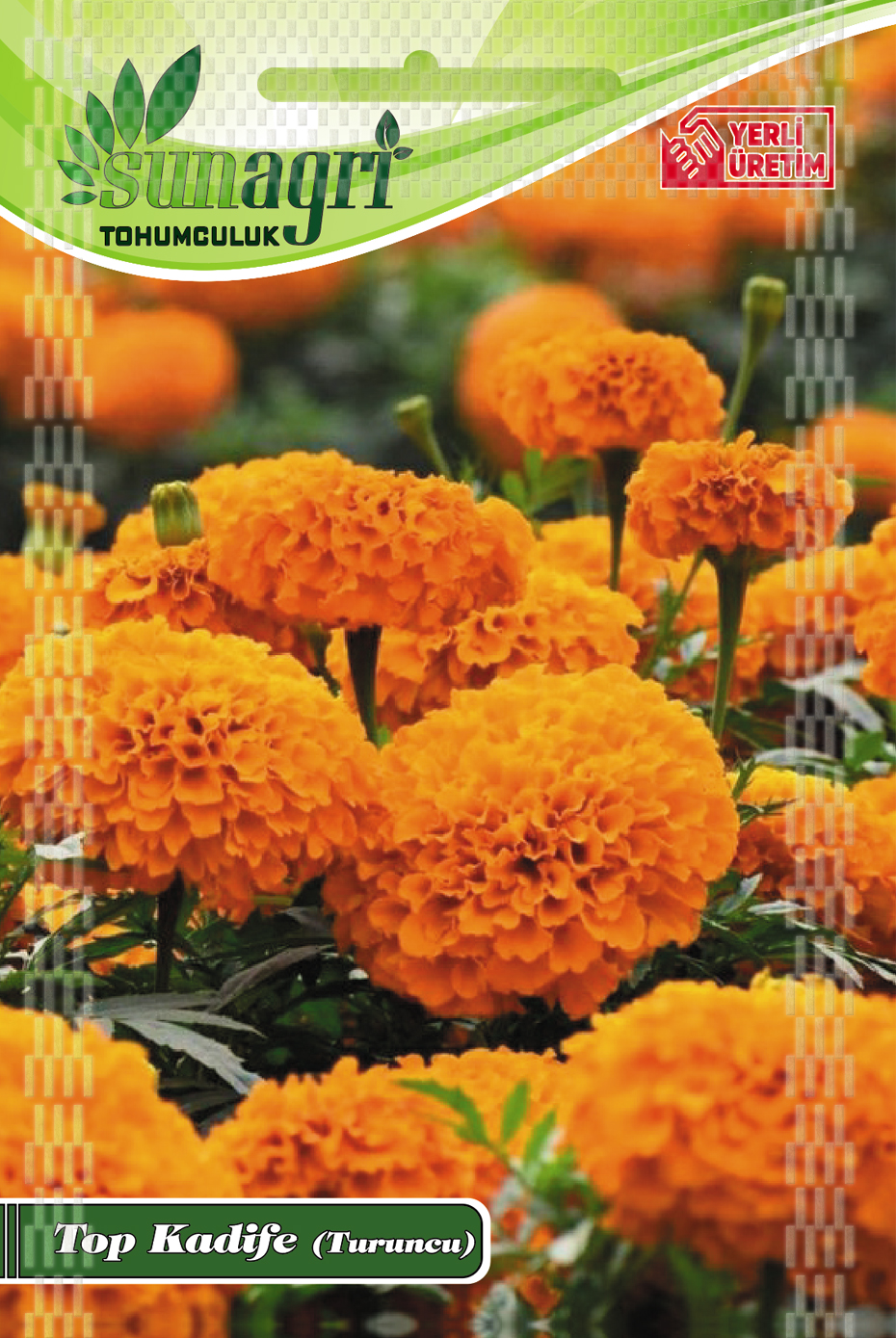 TOP KADİFE ÇİÇEĞİ TOHUMU (TURUNCU)