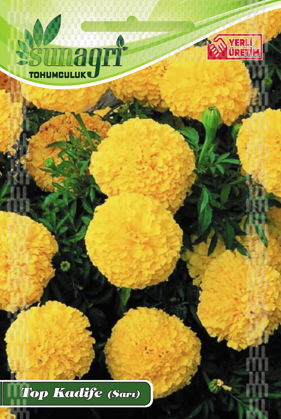 TOP KADİFE ÇİÇEĞİ TOHUMU (SARI)