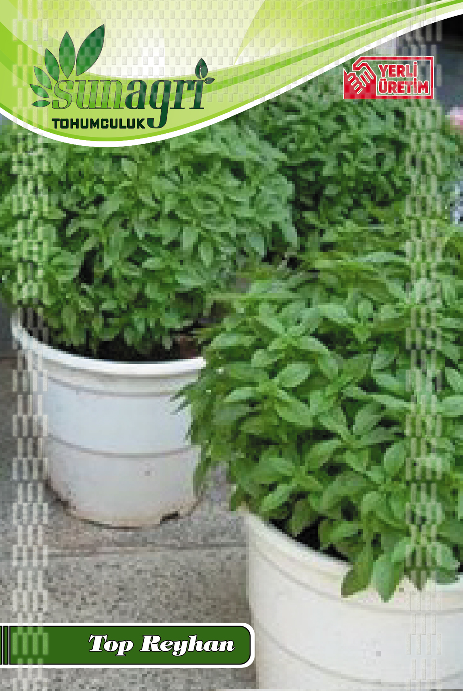 TOP REYHAN TOHUMU