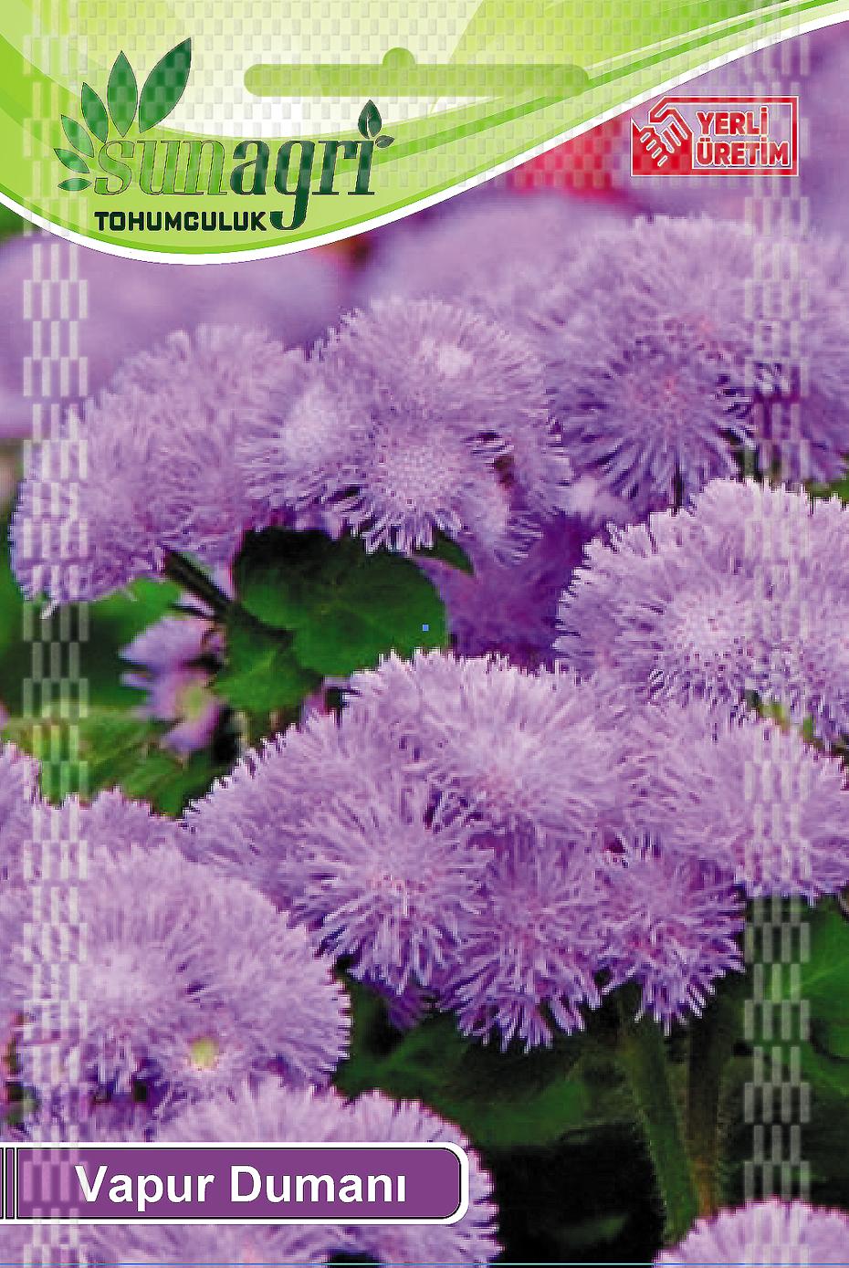 VAPUR DUMANI TOHUMU