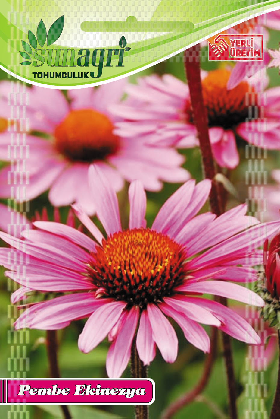 EKİNEZYA ÇİÇEĞİ TOHUMU