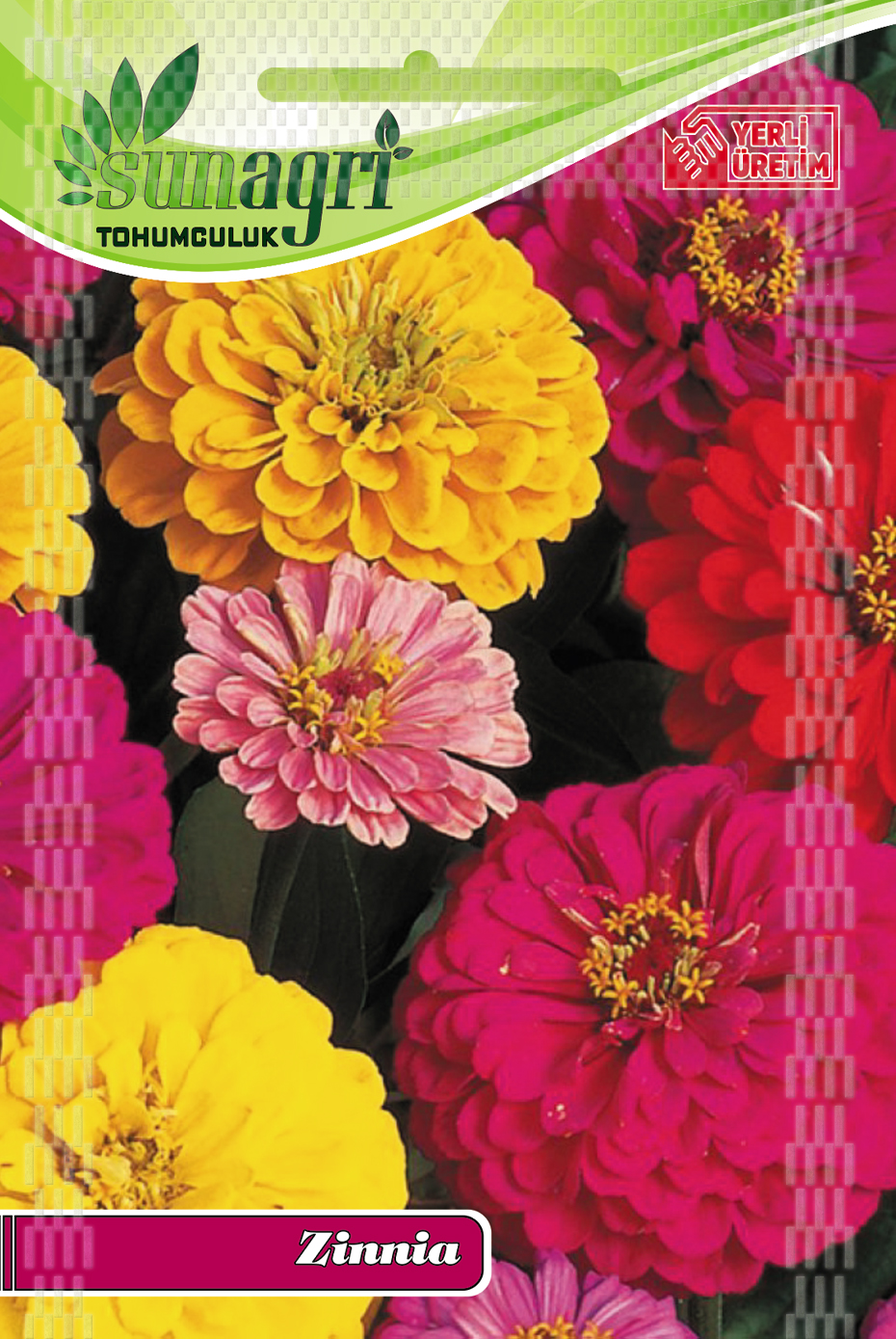 ZİNNİA TOHUMU