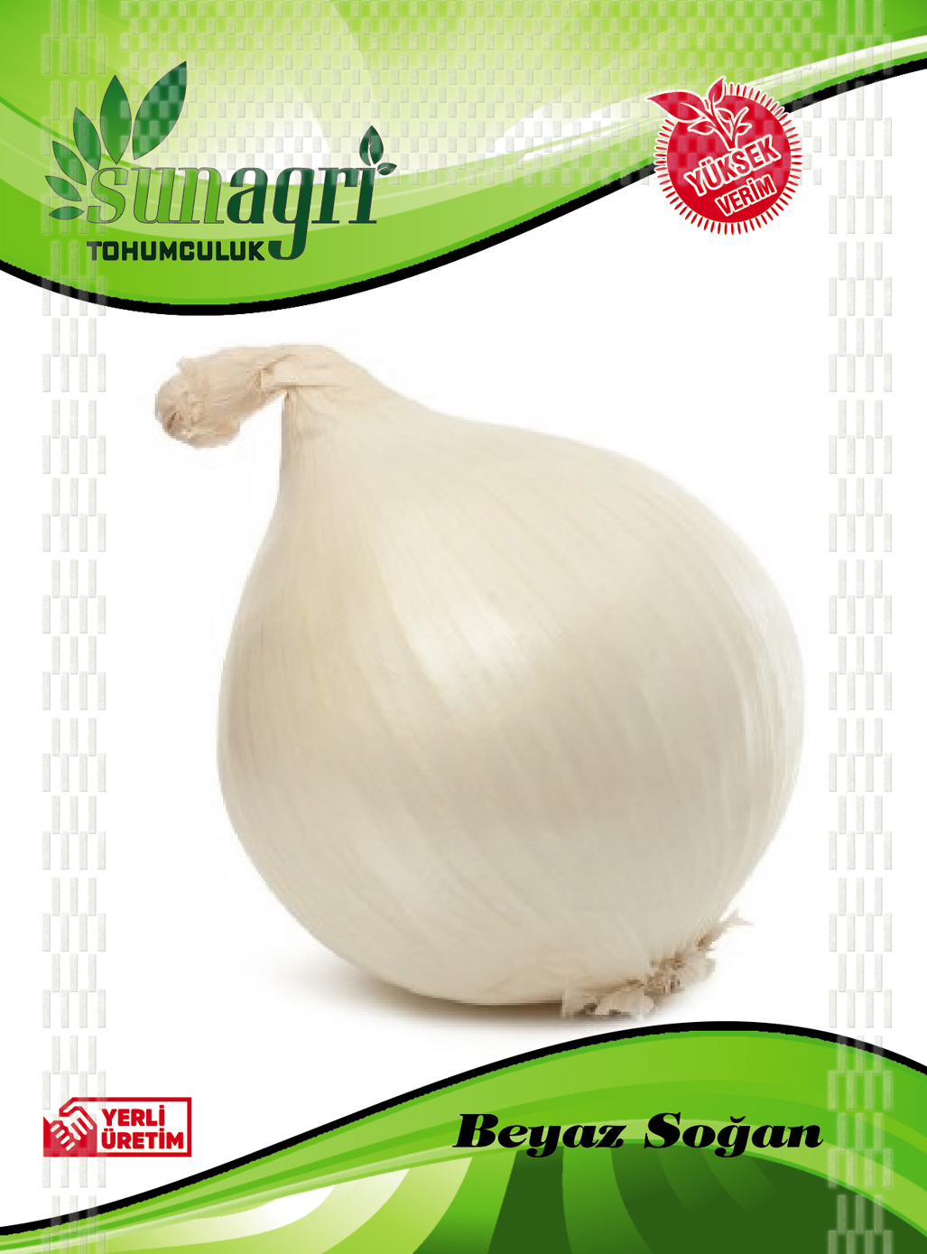 BEYAZ SOĞAN