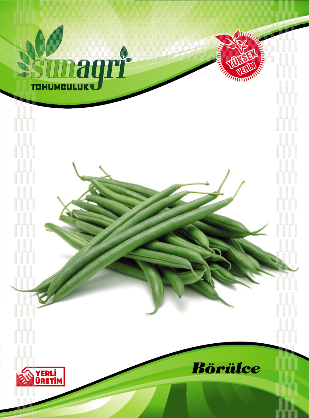 BÖRÜLCE TOHUMU
