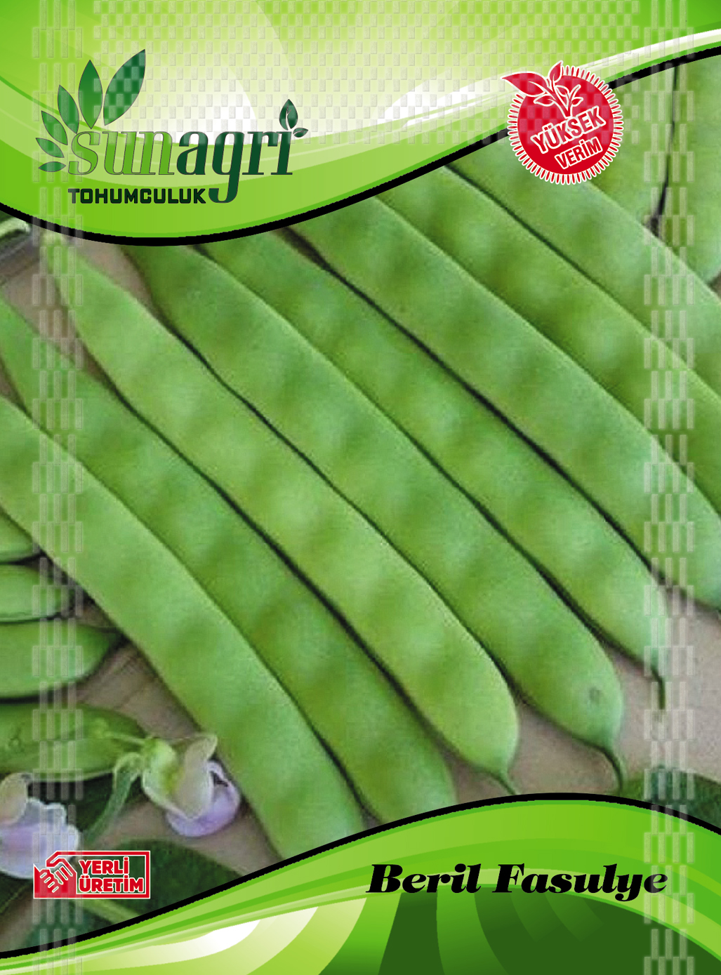 FASULYE BERİL