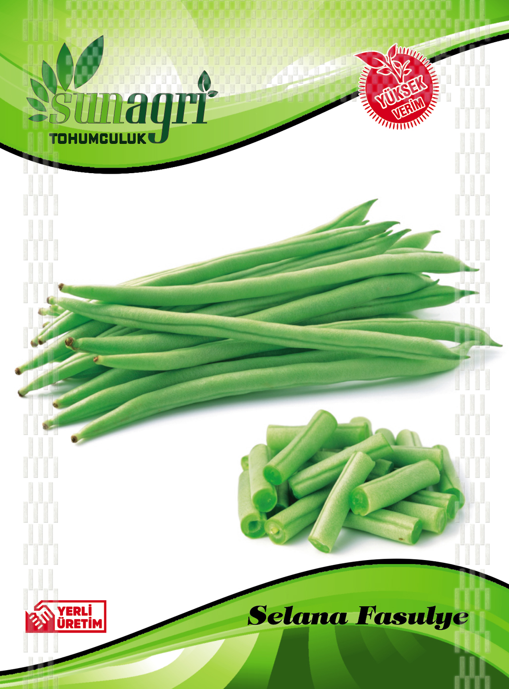 FASULYE SELENA (MAGNUM)