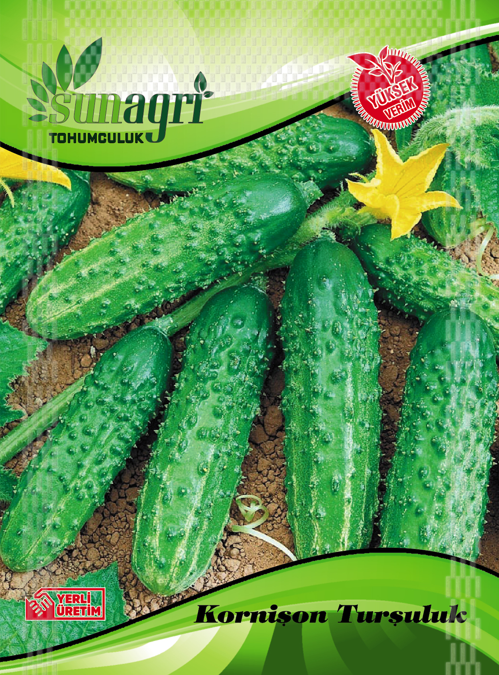 KORNİŞON TURŞULUK