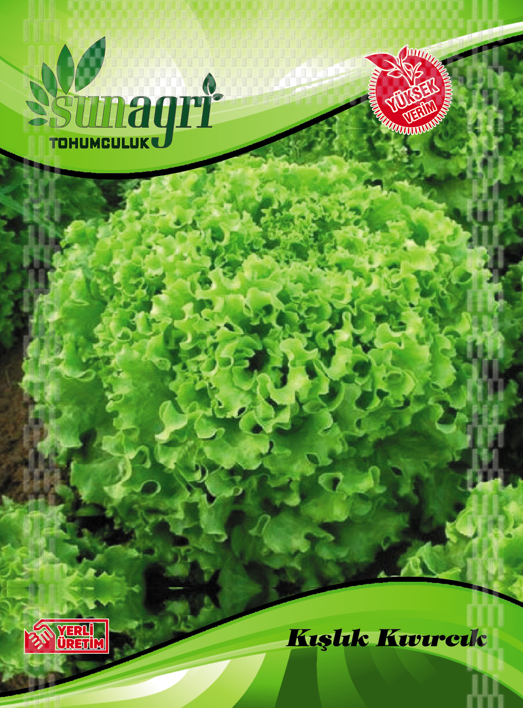 MARUL KIŞLIK KIVIRCIK