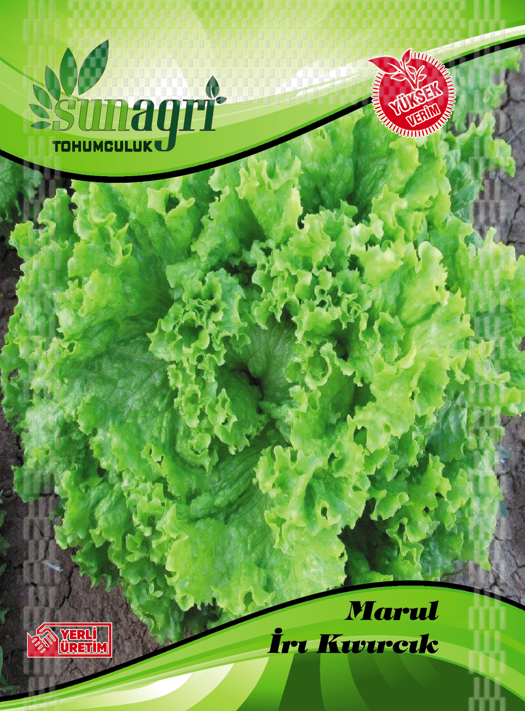 MARUL İRİ KIVIRCIK