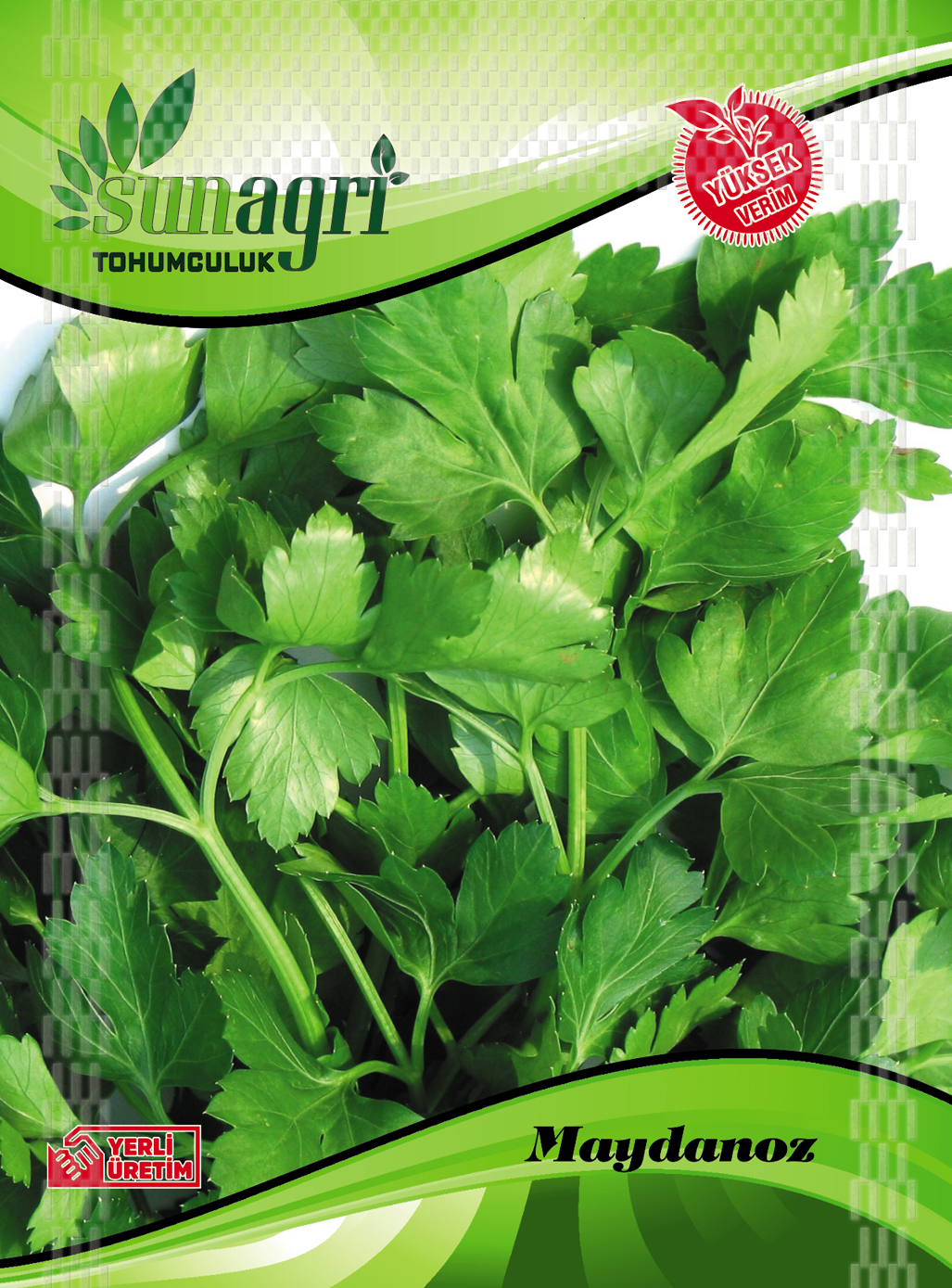 MAYDANOZ