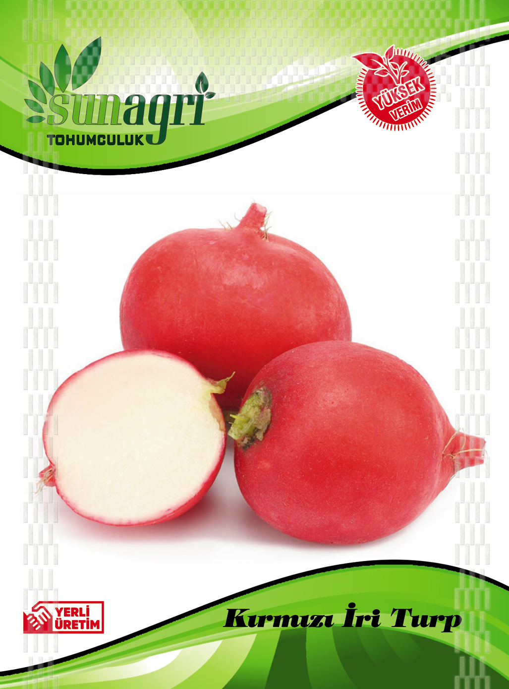 KIRMIZI İRİ TURP