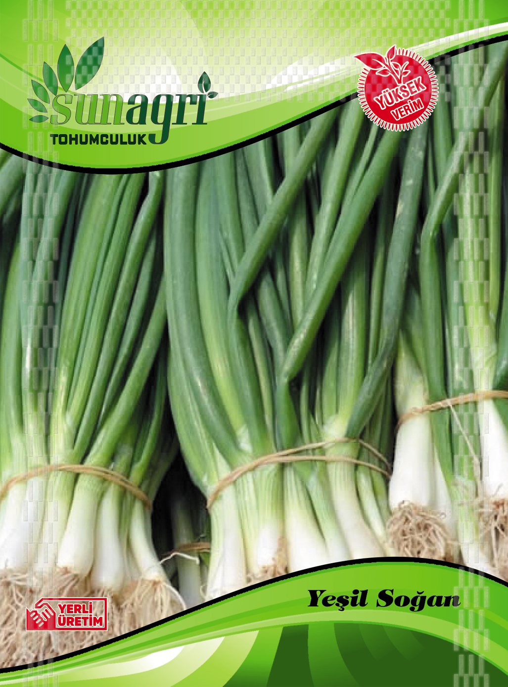 YEŞİL SOĞAN